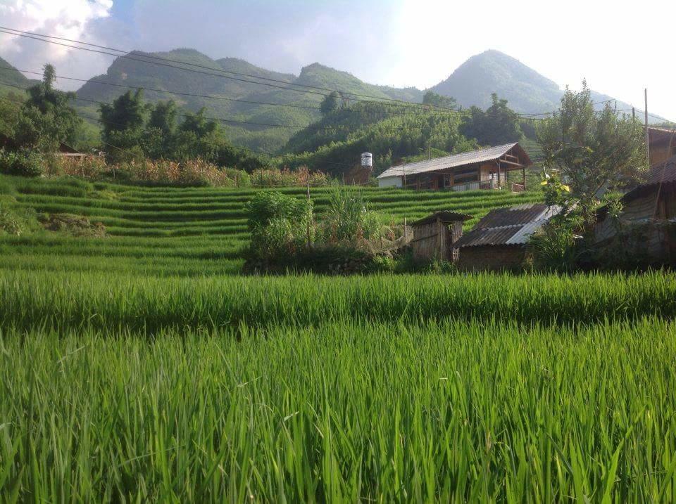 Luckydaisy Buffalo House Sa Pa Exterior photo